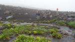 Kamchatka Nachilevo Park